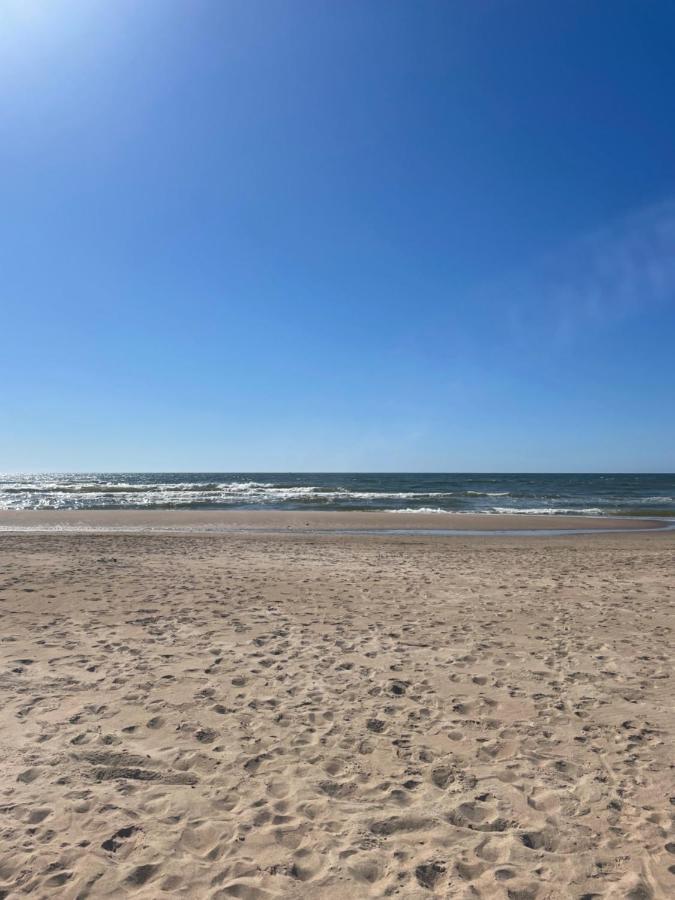 Cozy Vaivorykstes Apartment Palanga Kültér fotó